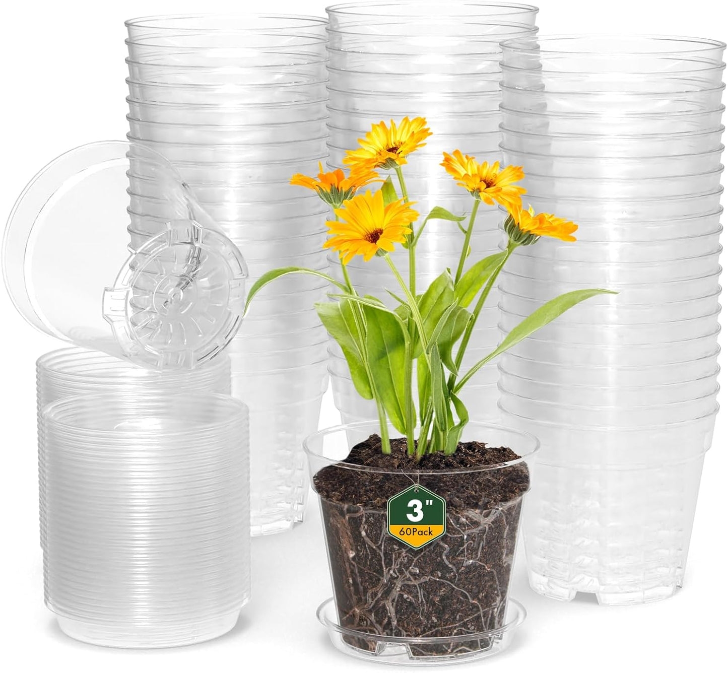3 Inch Clear Nursery Pots, 60 Pack Highly Transparent Plastic Seedling Starter Planters with Drainage Holes and Trays for Flowers, Small Plant Pots for Indoor Plants