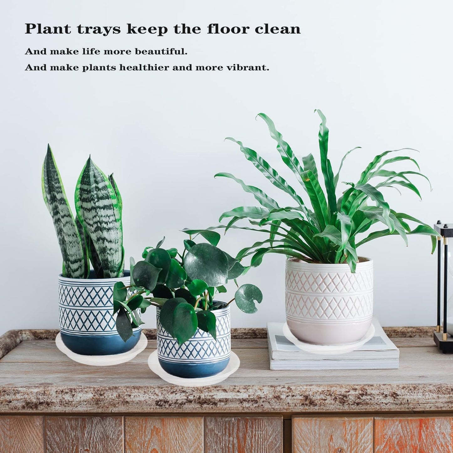 6 Pack Clear Plant Saucer 8 inch, Heavy Duty Plastic Plant Water Tray, Planter Saucers, Flower Pot Tray, Planter Tray, Bird Bath Bowls, Water Trays for Plant Pots 7"/8" (Clear)