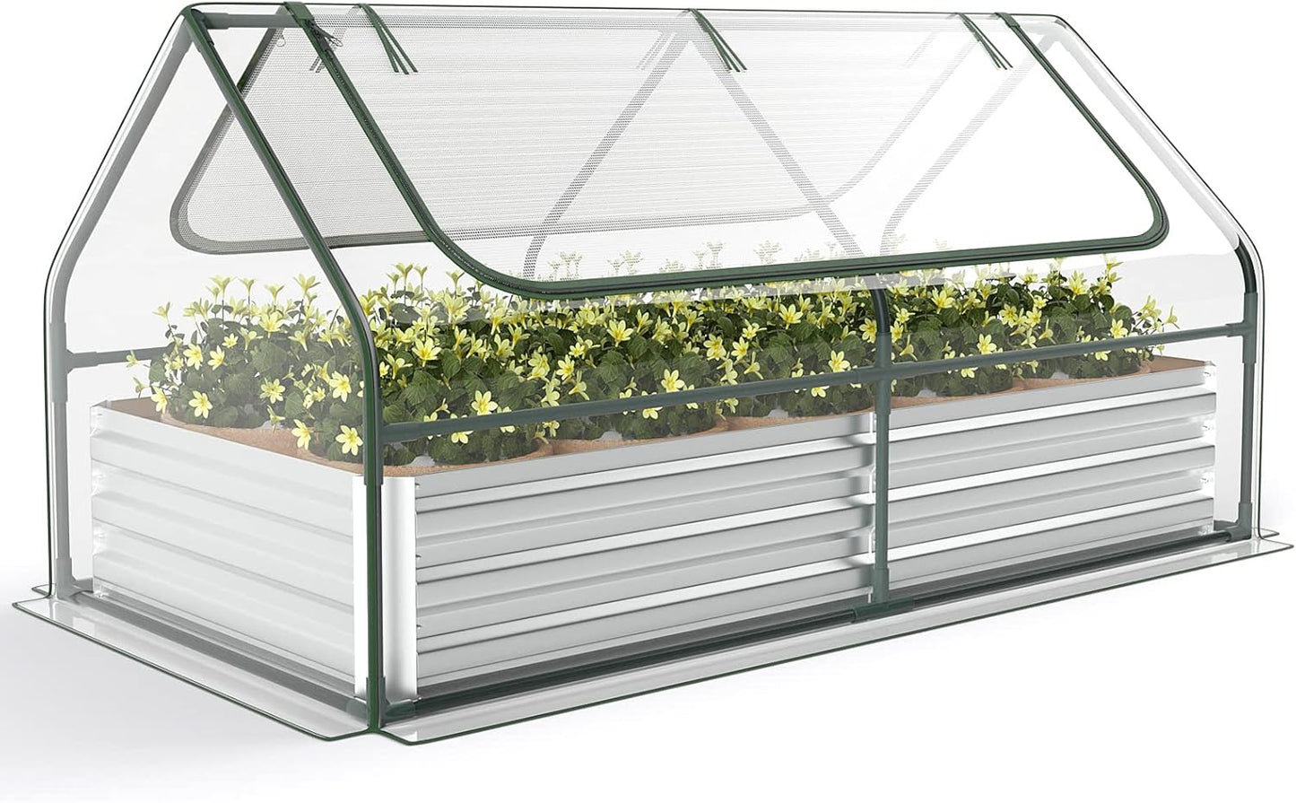 S AFSTAR Raised Garden Bed with Cover, 6FT x 3FT x 3FT Galvanized Bottomless Garden Bed with Greenhouse, Dual 2-Tier Roll-Up Windows, Easy Venting & Watering, Outdoor Metal Planter Box Kit with Cover