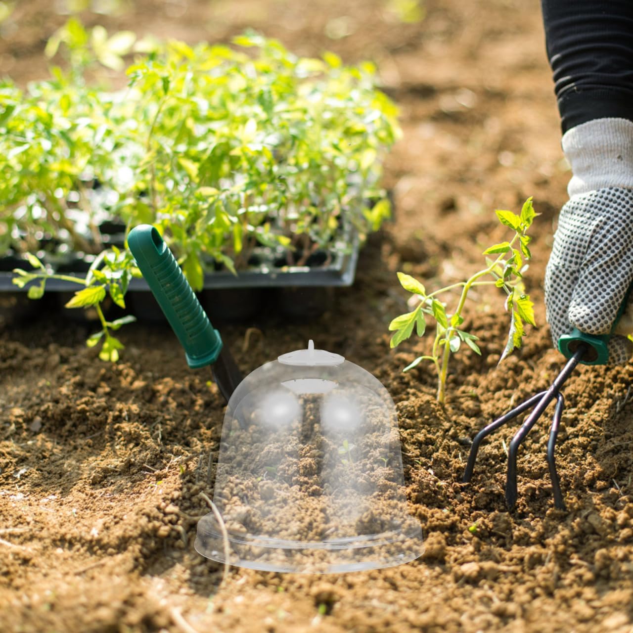 Mipcase 10pcs Transparent Plant Growth Domes Plastic Garden Cloche Covers for Plant Pot Hoods Ideal for Indoor and Outdoor Gardening Plant Enclosure Shields