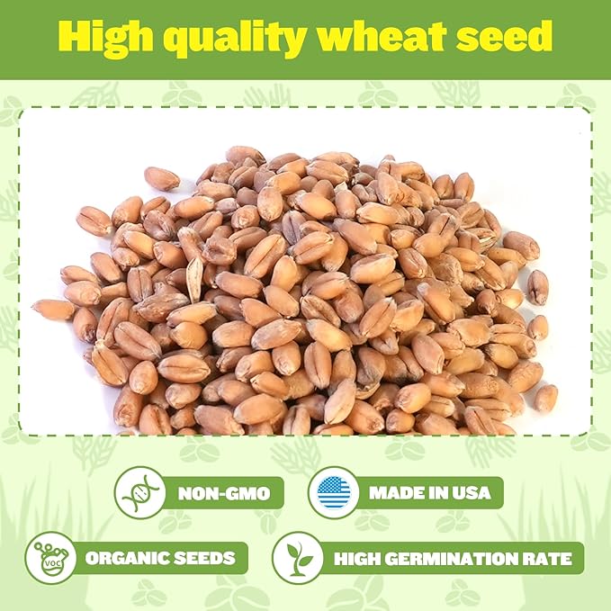 Organic Cat Grass Kit for Indoor Cats - 3 Pack with Cat Grass Seeds, Nutrient Soil & Planter Pots | Complete Growing Set for Fresh Pet Grass (Non-GMO Wheat Grass)