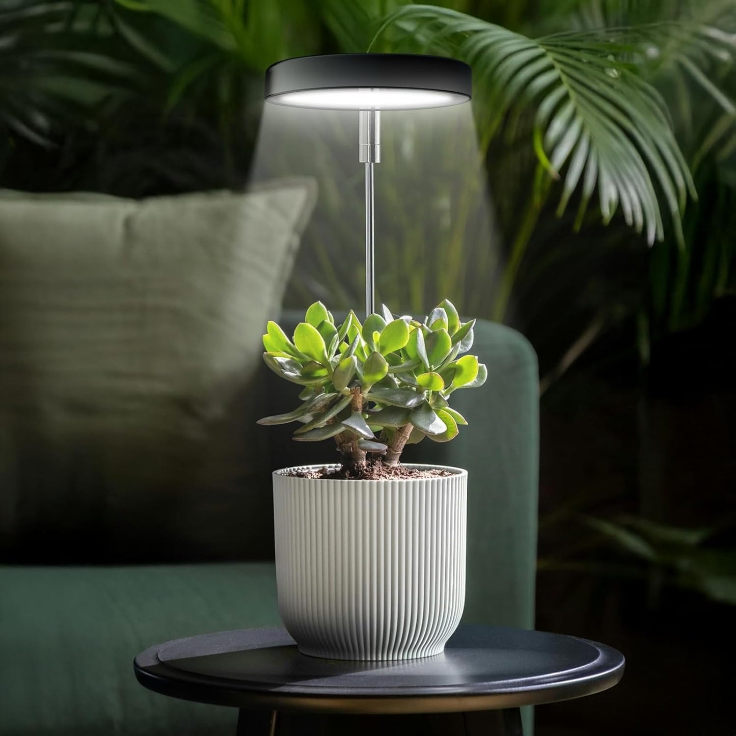 Grow Lights for Indoor Plants Small Potted - Full Spectrum, Auto 3/9/12H Timer, 10-Level Dimming & Adjustable Height - Compact Grow Light for Succulents, Herbs, Foliage in Home/Office (Black,2PACKS)