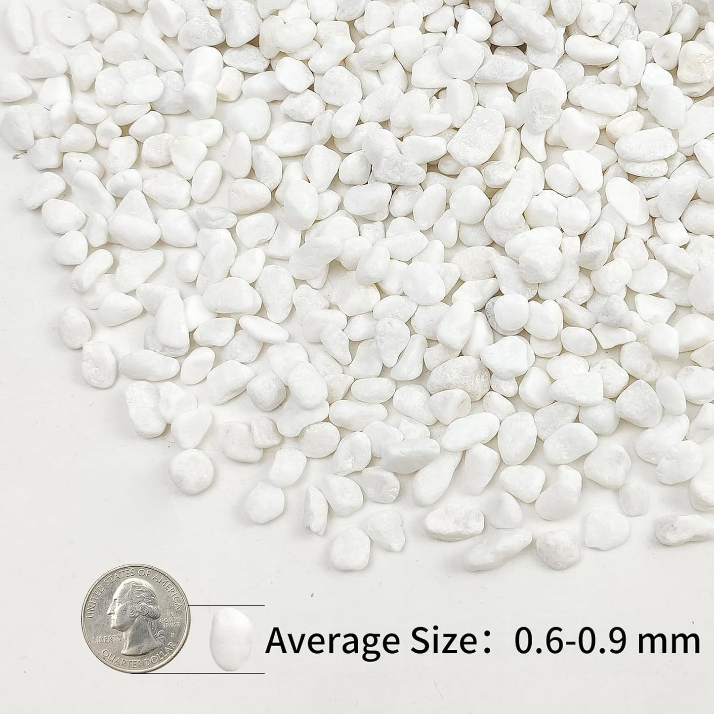 10lbs White Pebbles for Landscaping, 3/8inch Small Rocks for Succulent Cactus Planters, Natural Polished Pebbles, River Rocks for Plants, Vases, Garden