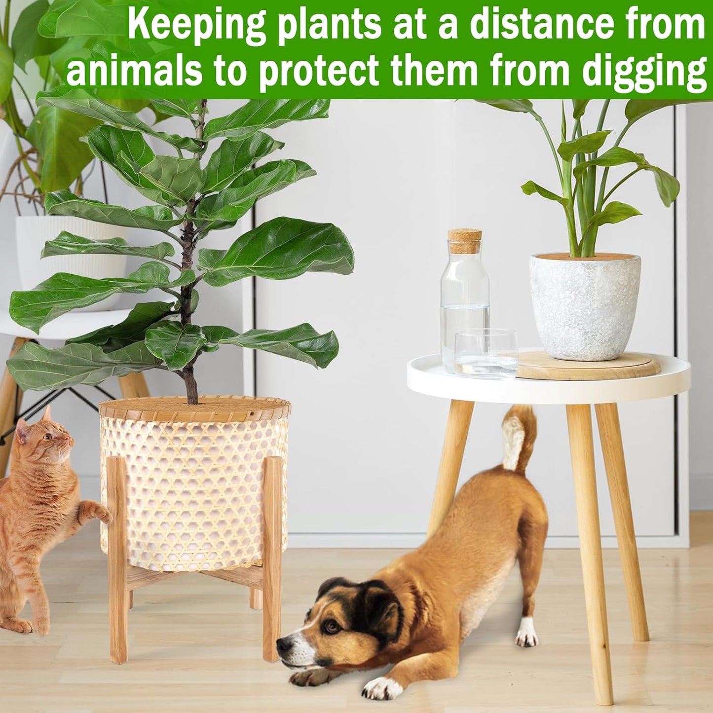 ZeeDix 3 Pack 14 Inch Coconut Fiber Mulch Ring, 100% Natural Coco Coir Tree Ring Mulch Mat Plant Protector Mat, Coconut Coir Discs Plant Pot Soil Cover for Indoor Outdoor Plants, Garden Decoration