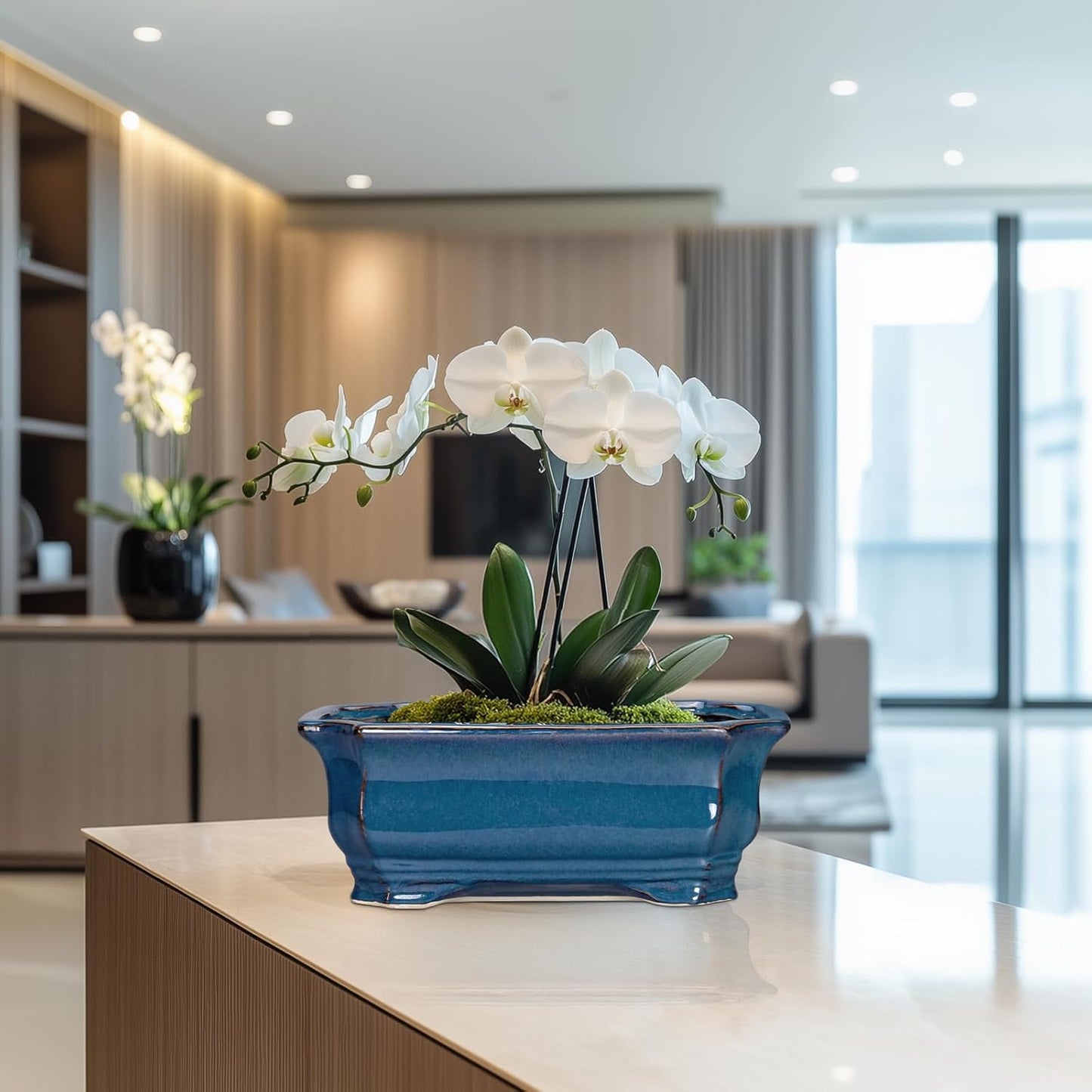 Bonsai Pots 11.6 Inch - Ceramic Succulent Pots with Drainage Hole, Rectangular Planter for Indoor Outdoor, Decorative Ceramic Flower Pot, Home Garden Room Decor, Plant Lover Gifts, Retro Blue