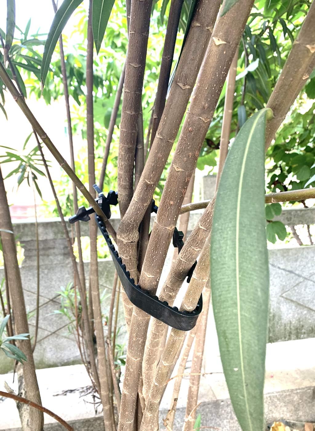 5 Pcs Tree Stake Supports Adjustable Tree Plant Ties Tree Training System, Heavy Duty Tree Stake Straps for Straightening, Reinforced Straps forTrees (60 cm/23.6 inch)