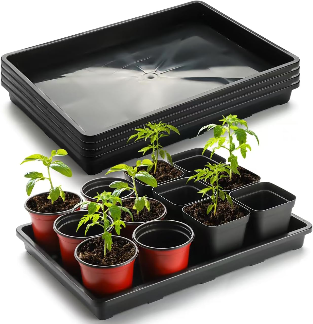 5 Pack Nursery Potting Tray, Carrying and Holding Plant Tray for Seeds Starting Pot, Collecting Drainage Water(Black)
