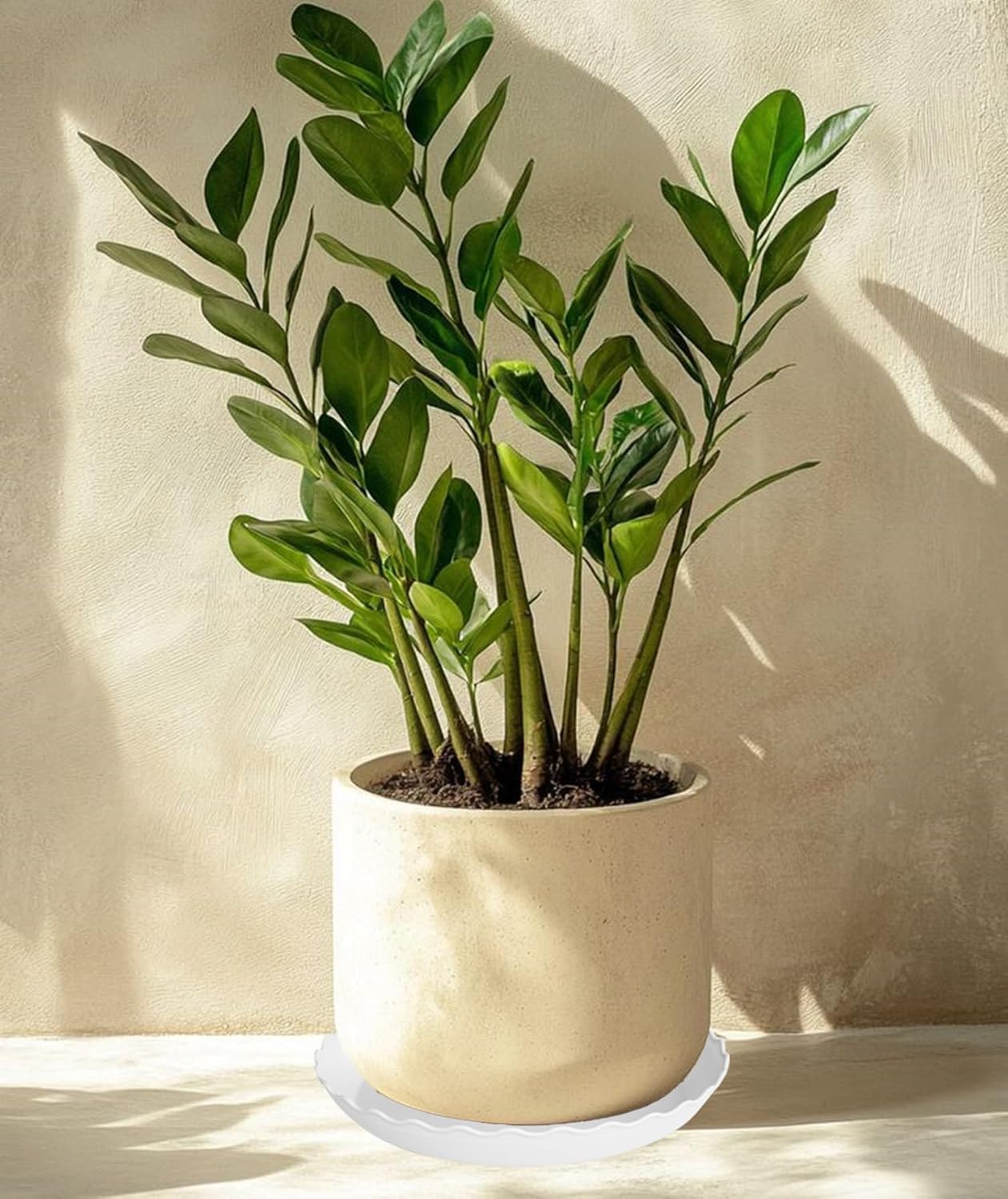 6 Pack Plant Saucer 8 inch, Heavy Duty Plastic Plant Water Tray, Planter Saucers, Flower Pot Tray Water Trays for Plant Pots (White)