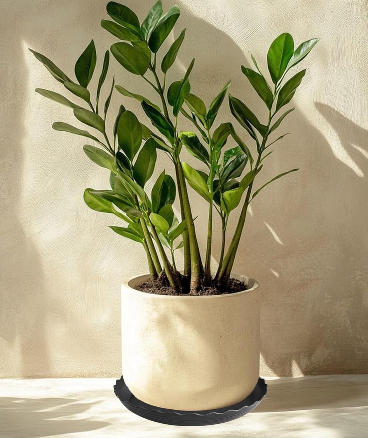 6 Pack Plant Saucer, 6 8 10 12 14 16 inch Plant Trays for Pots, Heavy Duty Plant Saucers for Indoors no Holes, Plastic Plant Saucer for Planter (6", Black)