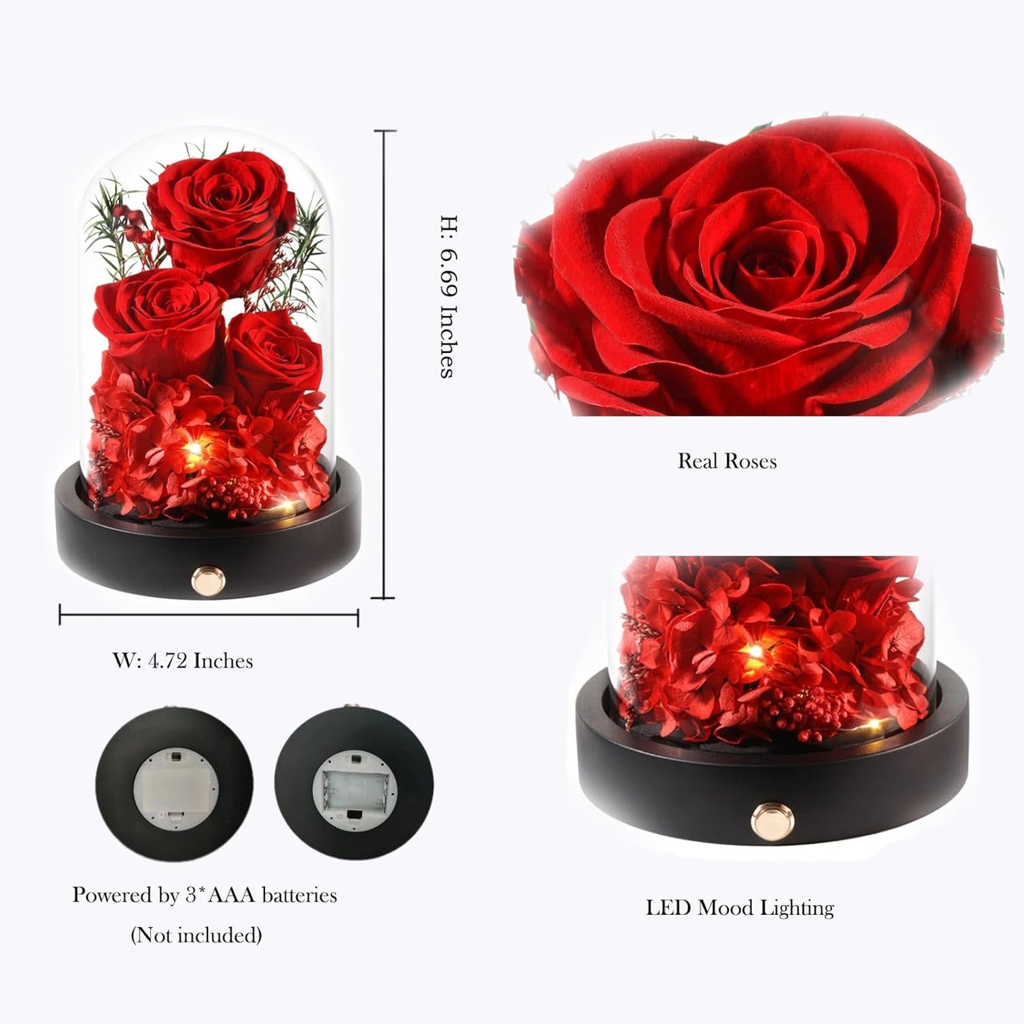 Flowers Forever for Delivery, Preserved Rose in Glass Dome with LED Gifts for Her, Forever Flower for Women on Valentines Day, Mothers Day, Anniverysary, Birthday, Red