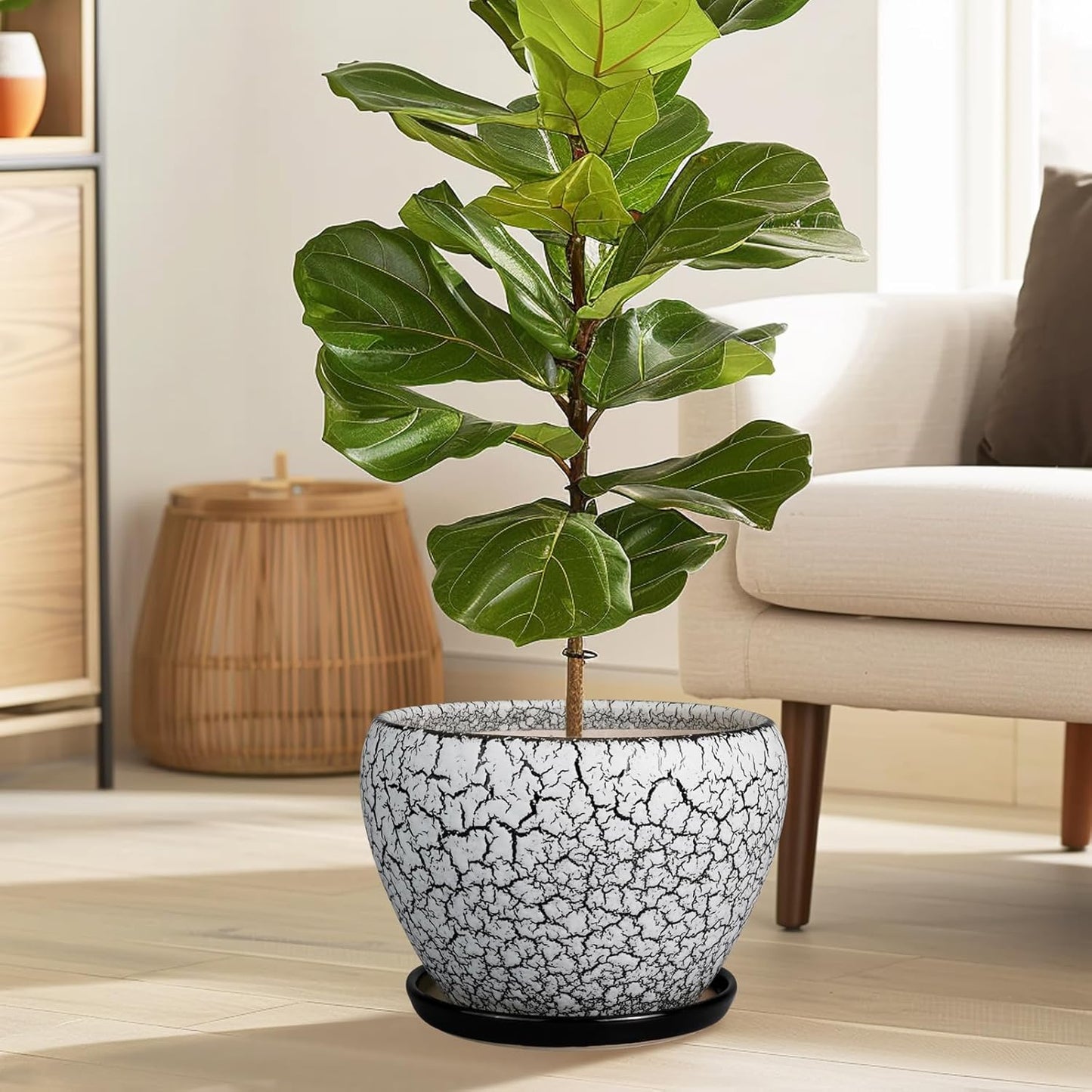 Ceramic Planters for Indoor Plants - 10 Inch Plant Pot with Drainage Hole and Saucer, Large Flower Pot for Home Decor, White/Black