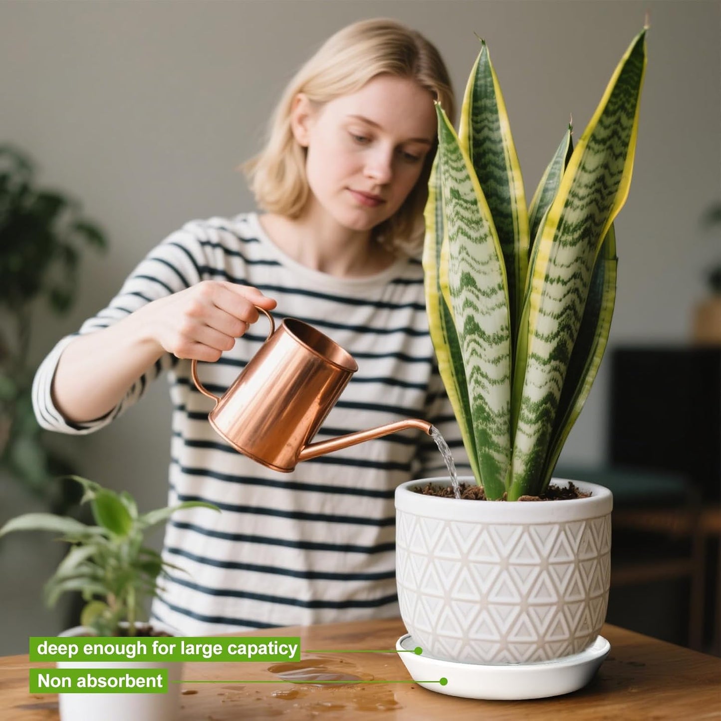 2 Pack 8 Inch Flower Pot Saucers - 9 Inch (8.7 Inch) Ceramic Plant Saucer for Outdoors & Indoors - Glazed Ceramic Plant Pot Trays for Water Drainage - Durable & Stylish Round Plant Tray