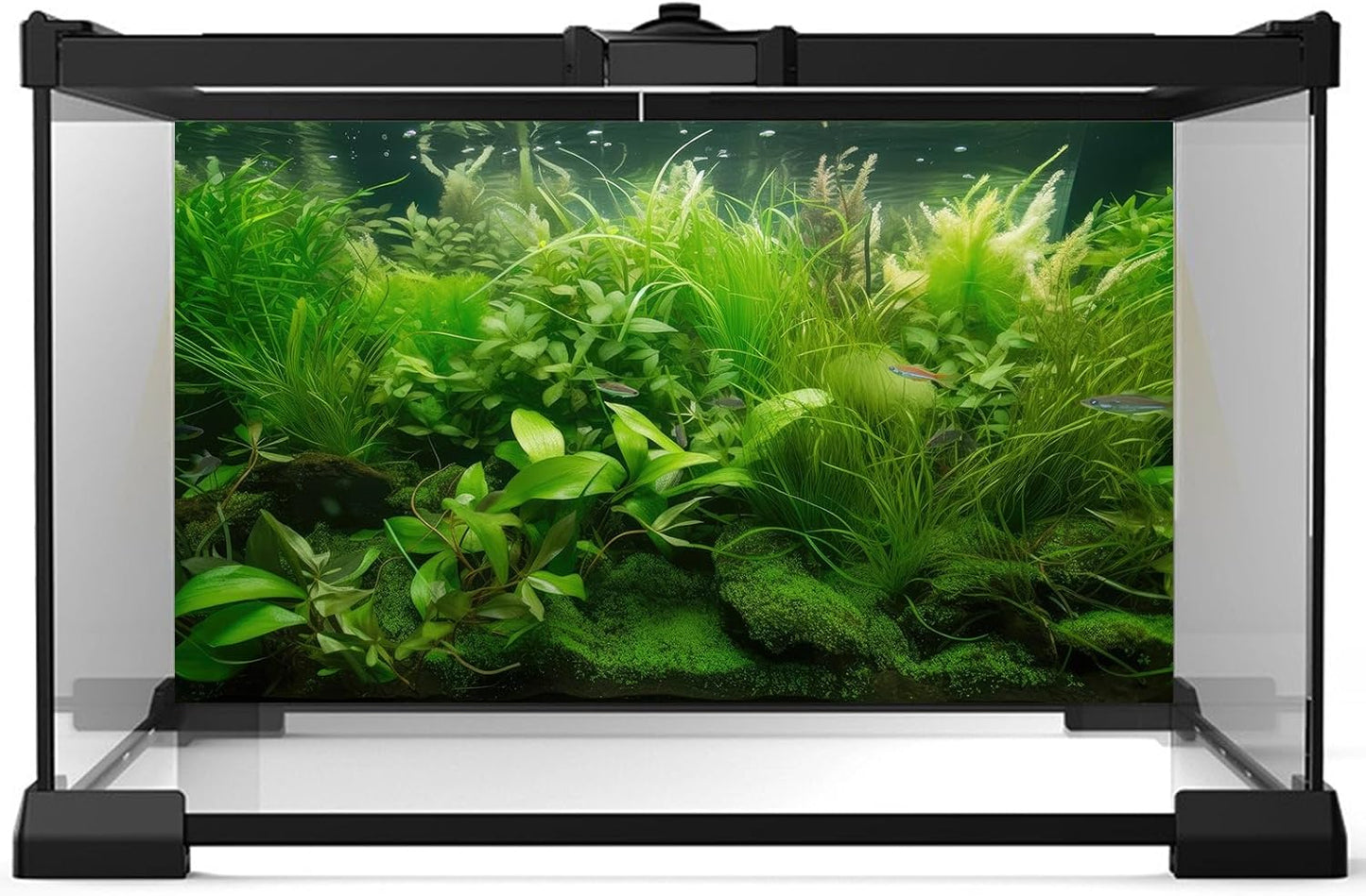 Aquarium Background Diverse Collection of Aquatic Plants Seagrasses Terrarium Background Redwood Root Moss Tropical Style Underwater Lush Green Plants Fish Tank Background Wallpaper Poster 72x16in