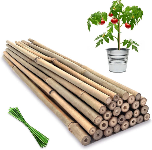 Plant Stakes,12 Inches Natural Garden Bamboo Sticks,BOVITRO 20Pcs Plant Support Stakes for Tomatoes,Beans,Vegetable and Potted Plants