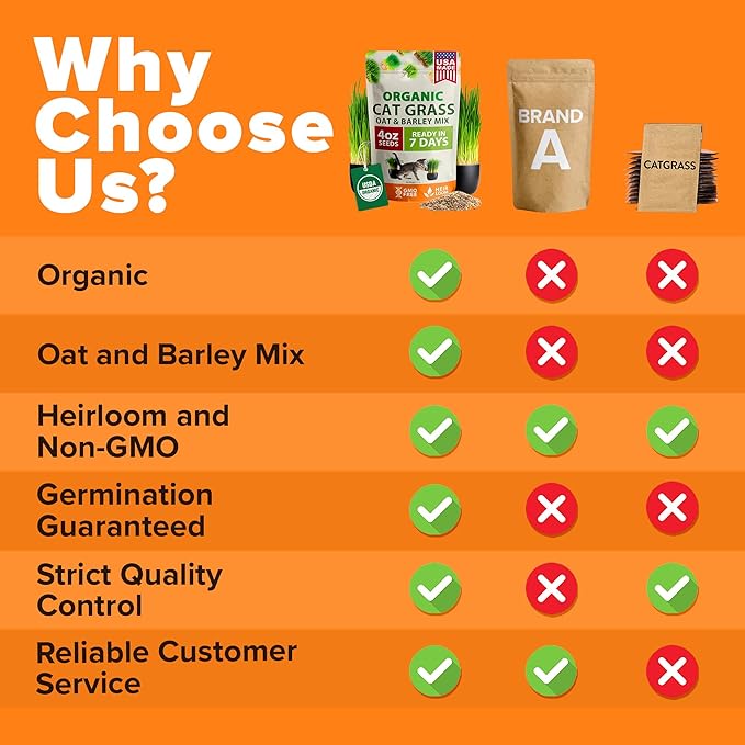 HOME GROWN Organic Cat-Grass Seed Mix (Oat & Barley) – 4 oz – Easy Indoor Planter