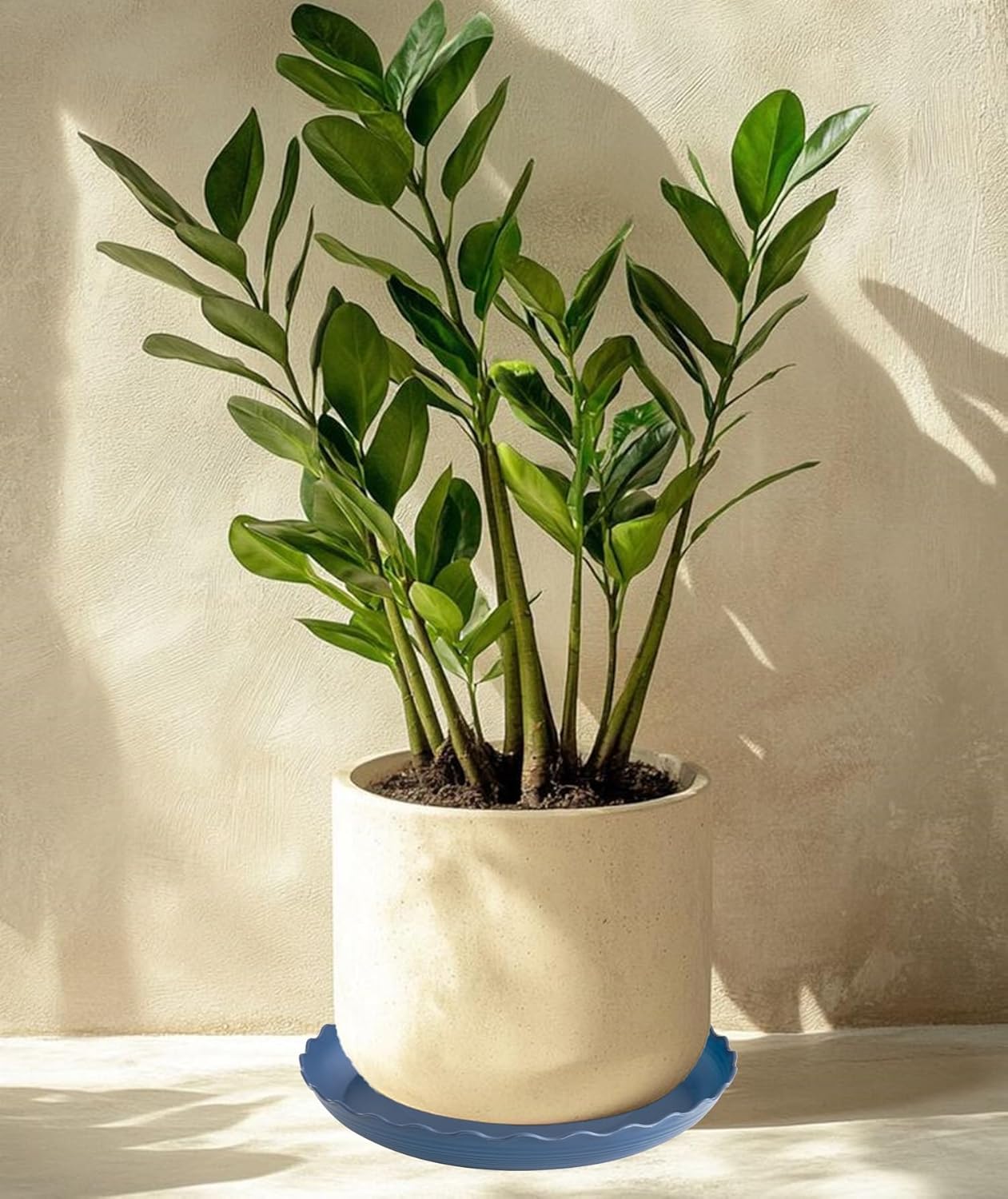 6 Pack Plant Saucer 10 inch, Heavy Duty Plastic Plant Saucers, Durable Plant Tray for Pots, Flower Saucers for Indoors, Plant Pot Saucers, Trays for Planter (Blue)