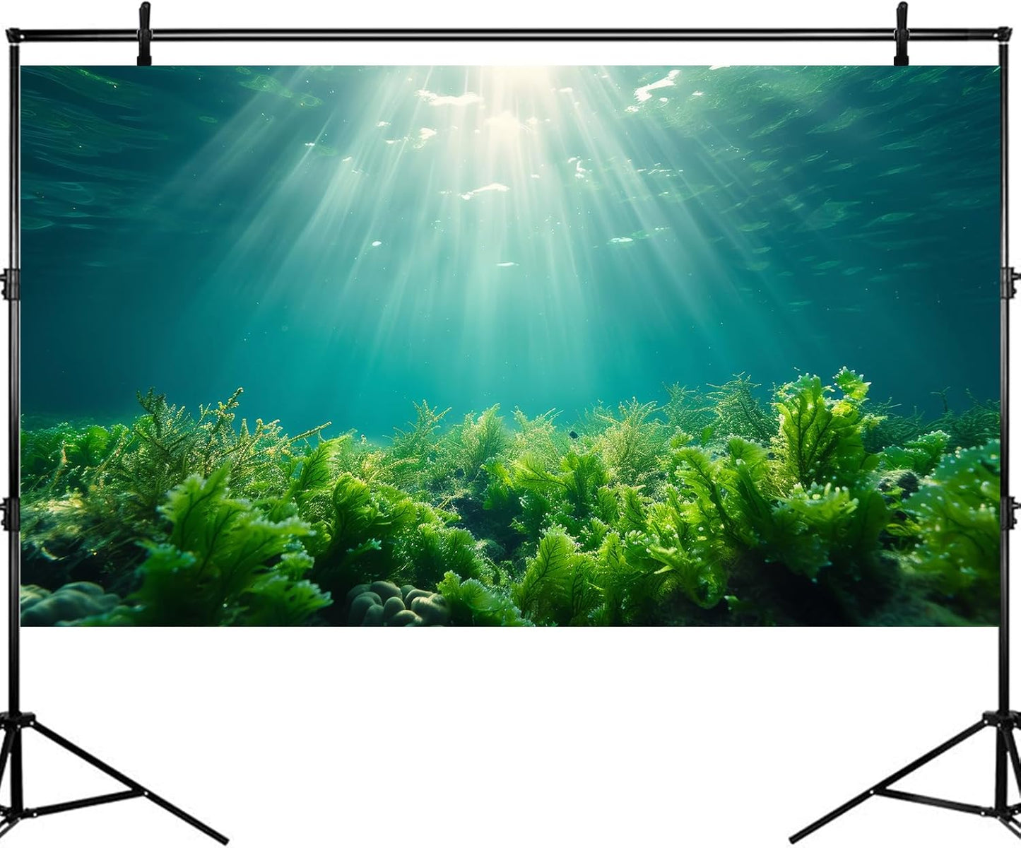 Deep Ocean Fish Tank Background Under The Sea Aquatic Plants Aquarium Background Underwater Corals Sunray Terrarium Backgrounds Tropical Fish Ocean World Aquarium Backgrounds Decorations 72x24in
