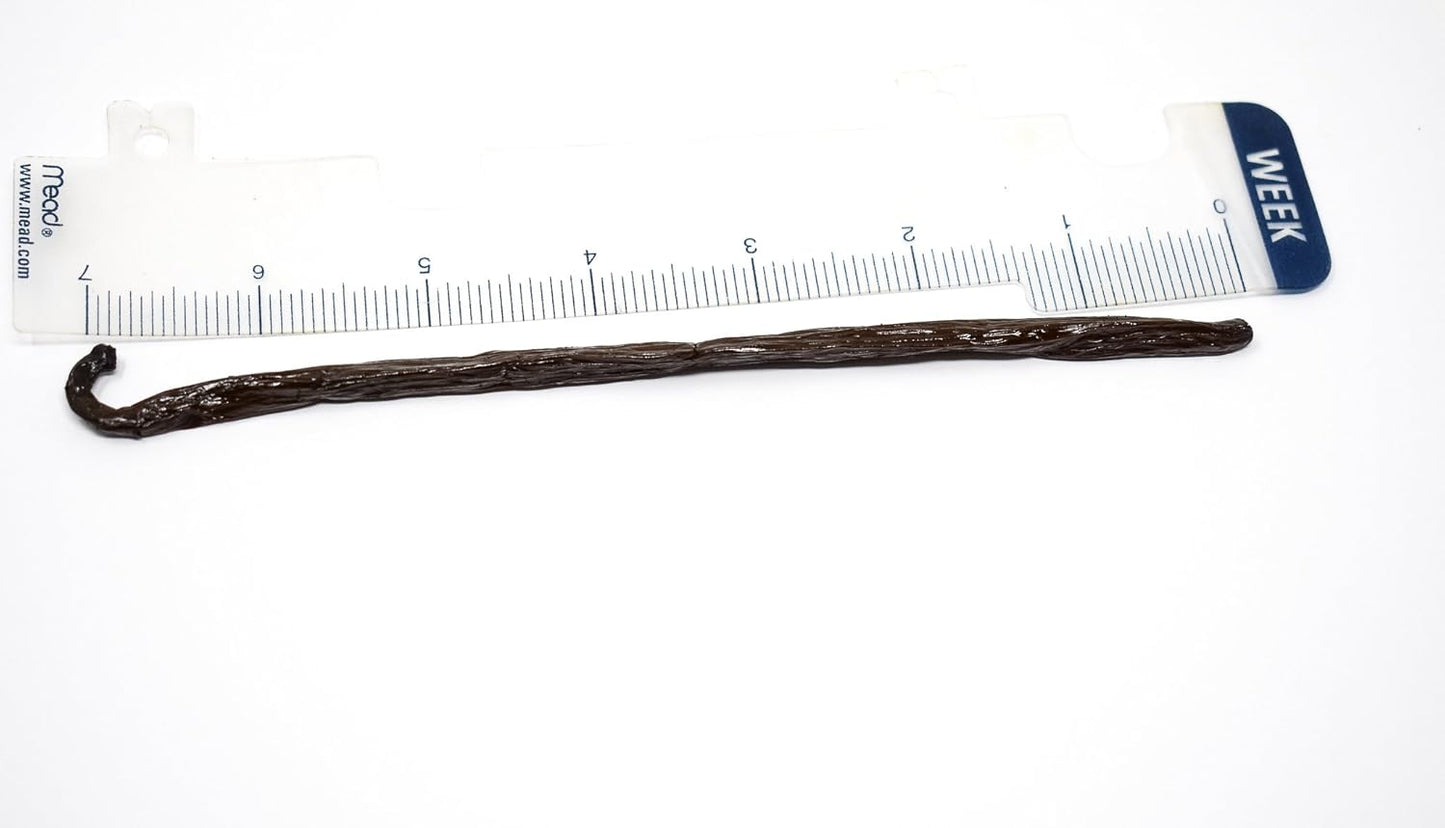 Slofoodgroup Grade A Madagascar Vanilla Beans Extra Long Grade A Vanilla Planifolia from Madagascar (1lb / 16 Ounces Vanilla Beans)