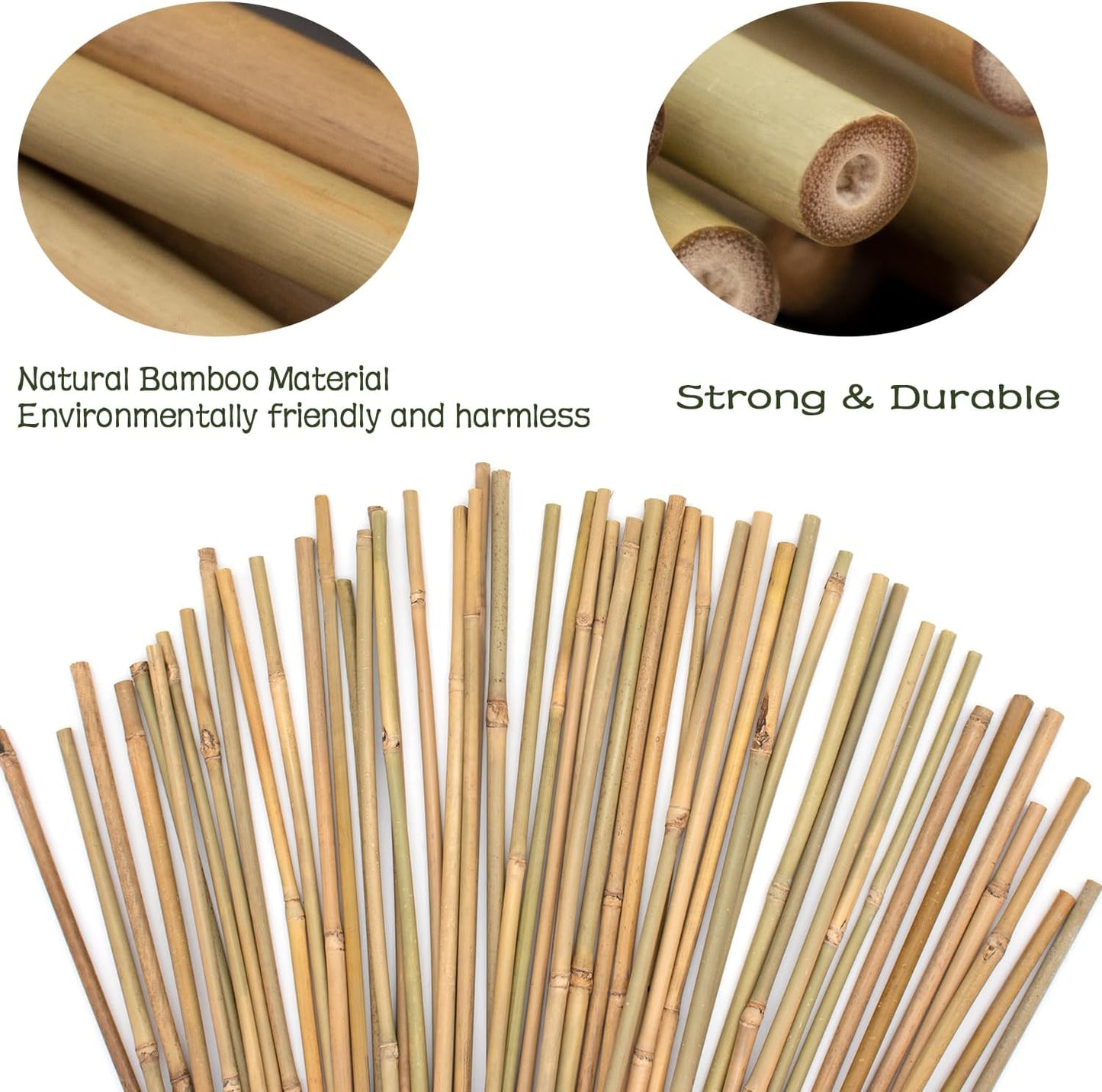50PCS Plant Stakes,16 Inch Natural Bamboo Stakes,Garden Stakes for Indoor and Outdoor Plants,Poles Sticks for Tomatoes,Beans,Flowers,Trees Potted and Climbing Plants