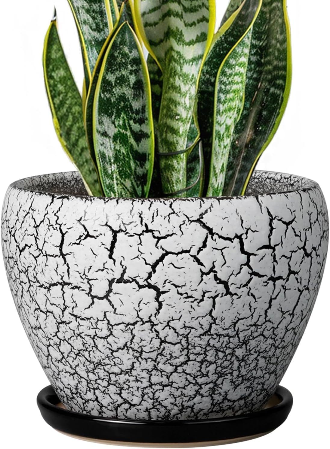 Ceramic Plant Pot 8 Inch - Ceramic Planter for Indoor Plants, Round Flower Pot with Drainage Hole and Saucer, Glaze White and Black