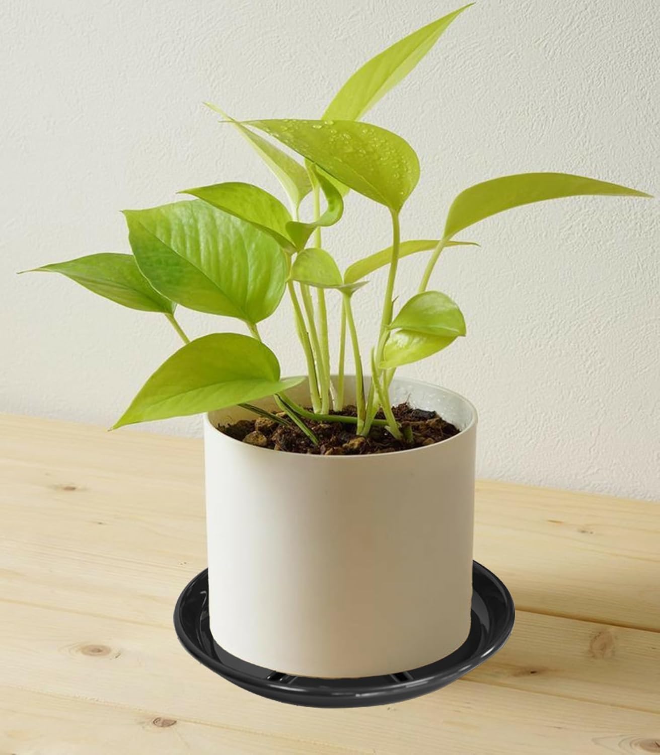 6 Pack of Plant Saucer 6 inch, Heavy Duty Plastic Flower Pot Saucers, Plant Drip Trays for Indoors Outdoor, Plant Water Tray for Planters, Black