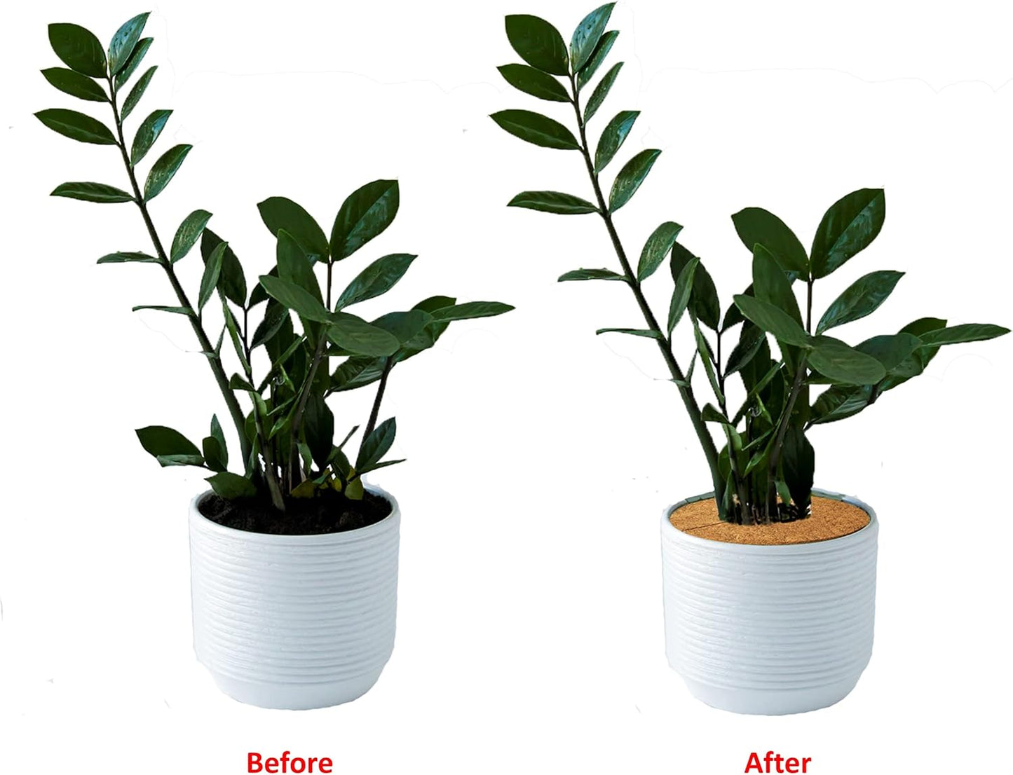 Deepthi 18-Inch Coco Coir Mulch Mats – Pack of 3 Natural Coconut Fiber Discs – Tree Ring Guards, Pot Covers, Sapling Root Protection, Weed Barrier, Moisture Retention for Garden & Potted Plants