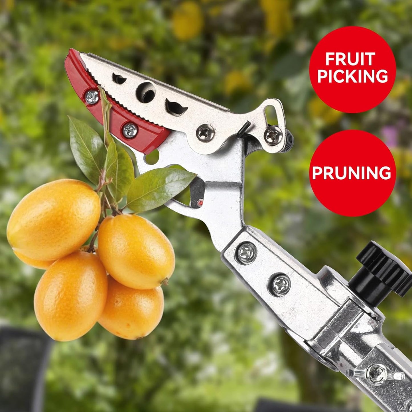 Tree Pruner for Garden, Cut Capacity 1/2 Inch & Hold Pole Pruner, Lightweight Fruit Picker with Non-slip handle, Long Reach Tree Branch Cutter with Aluminum Pole, 4.2 FT| LFX112