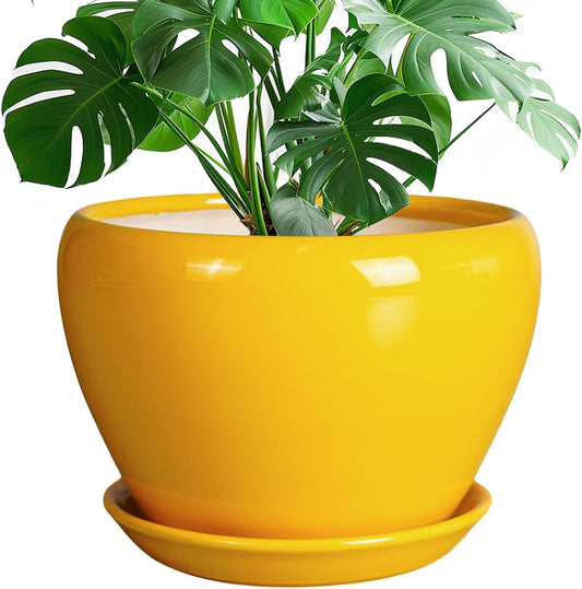 Ceramic Planter - 10 Inch Plant Pot for Indoor Outdoor Plants Glaze Modern Round Planter with Drainage Hole and Saucer for Garden Office Home Room Patio Decor, Yellow