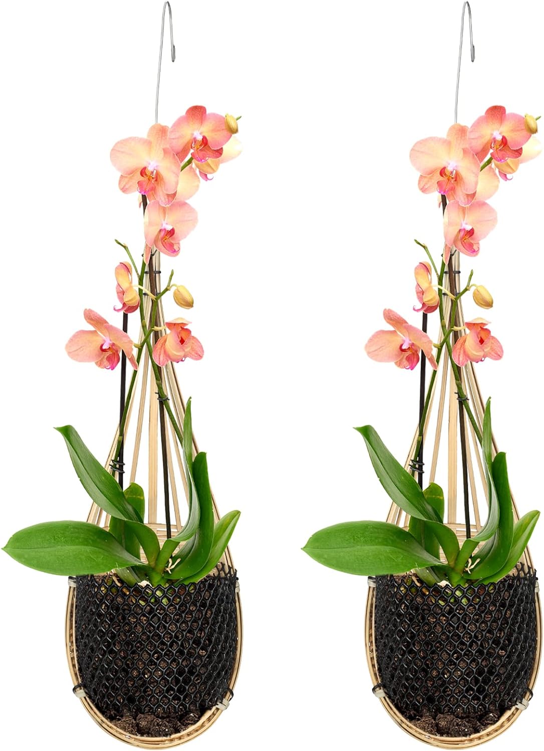 Yookeer 2 Pack Hanging Orchid Planter 4 Inch Thai Bamboo Hanging Orchid Basket with Metal Hook Decorative Bird Nest Style Plant Hangers for Trellis & Gazebo Indoor Outdoor Patio Garden Flower Planter