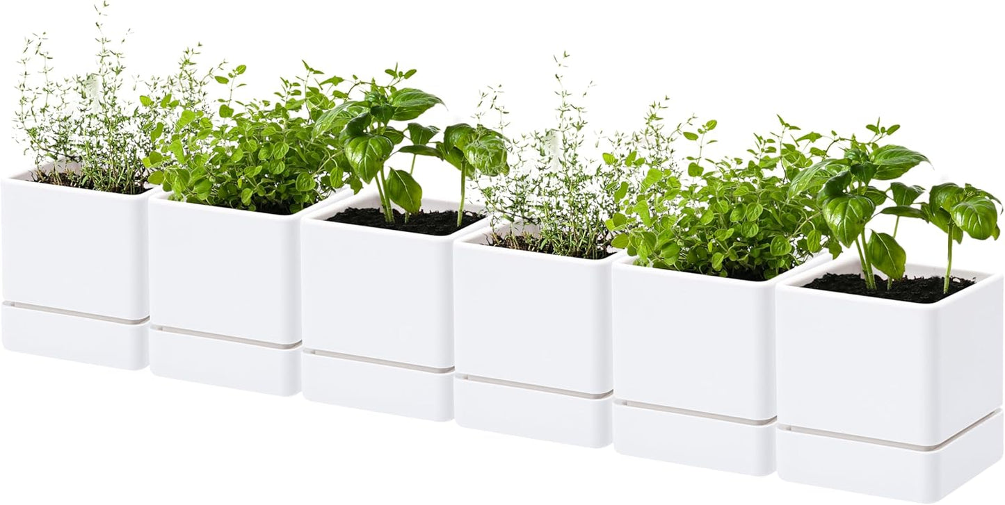 4 Inch Herb Planter Pot, Plastic Planter with Drainage Holes and Saucer, Modern Decorative Gardening Pot for Indoor Plants, Flowers, Herbs, Succulents, White, Set of 6, 76-Y-A-6