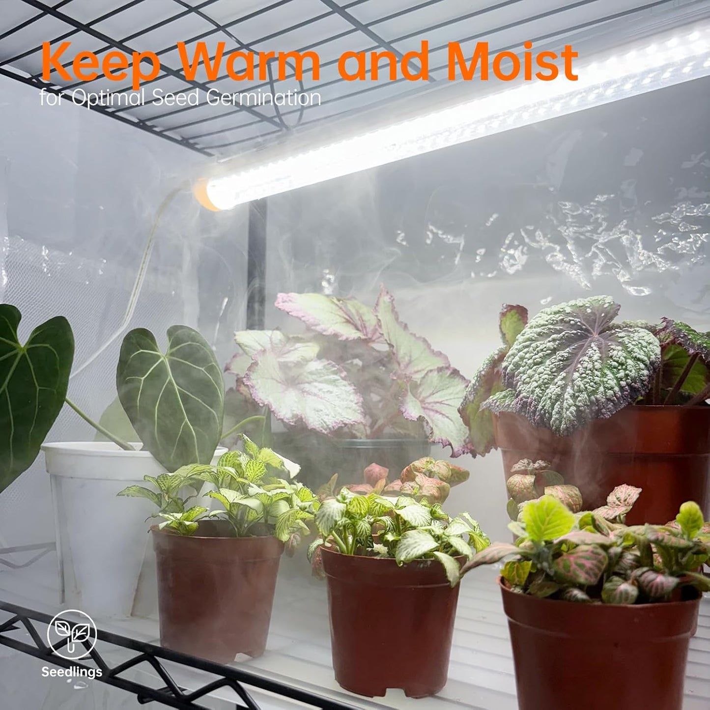 Indoor Greenhouse with Grow Light, Mini Green house with 4 Pack T8 Full Spectrum Plant Lights with Timer, Plant Shelf with Tent for Indoor Plant, Seed Starting, Seed Tray, 29.5"x13.8"x59"