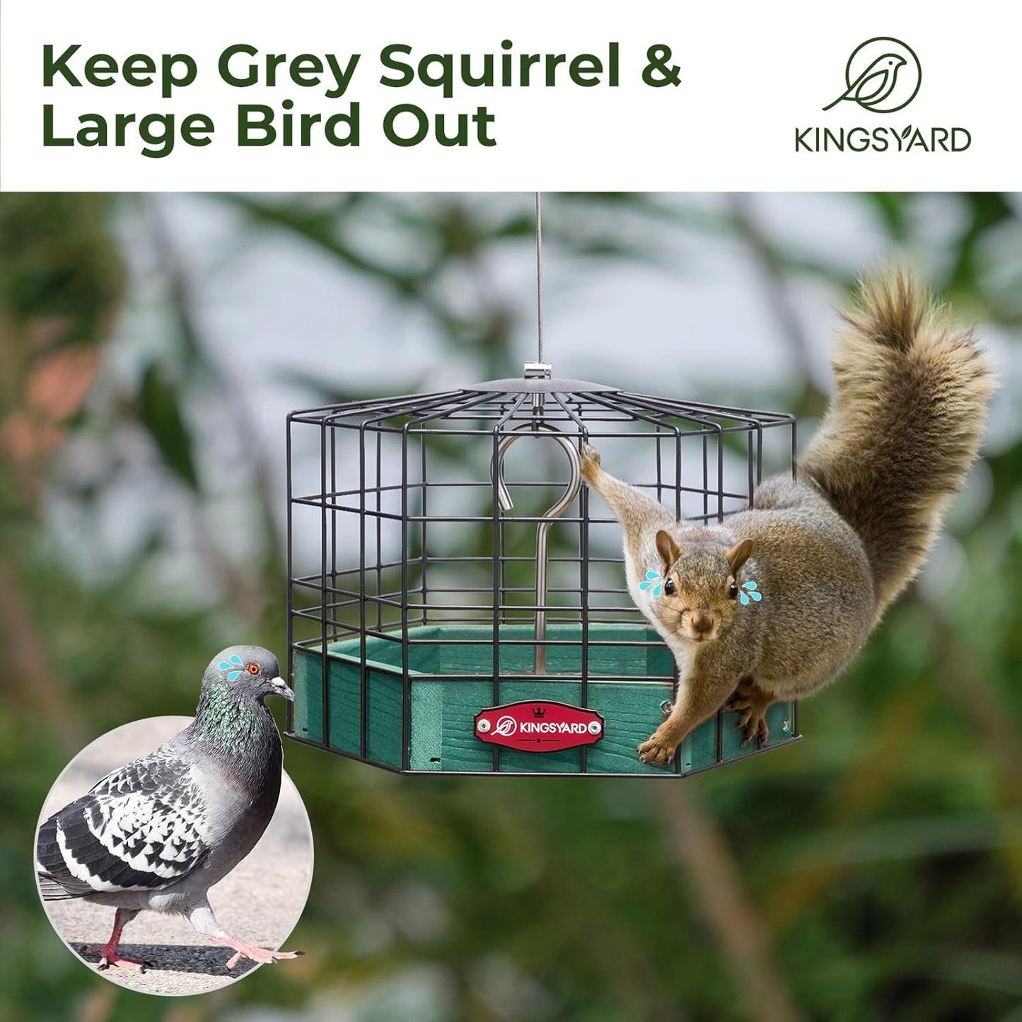 Kingsyard Squirrel Proof Platform Bird Feeders for Outdoor Hanging, Caged Bird Feeder for Small Wildbirds, Recycled Plastic Feeding Platform with Metal Seed Tray, Green