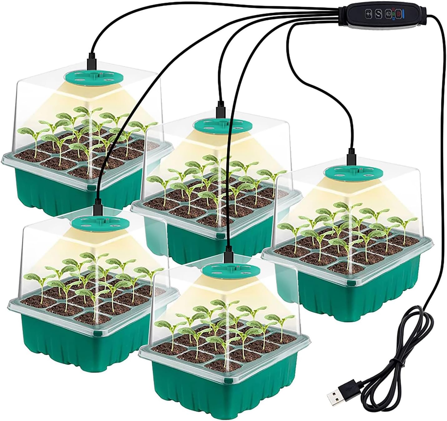 6-Pack Seed Starter Tray Kit with Grow Light, Adjustable Brightness & Timing Controller, Seedling Trays with Humidity Domes & Heightened Lids, Thicken Design, Ideal for Indoor Plant Growth