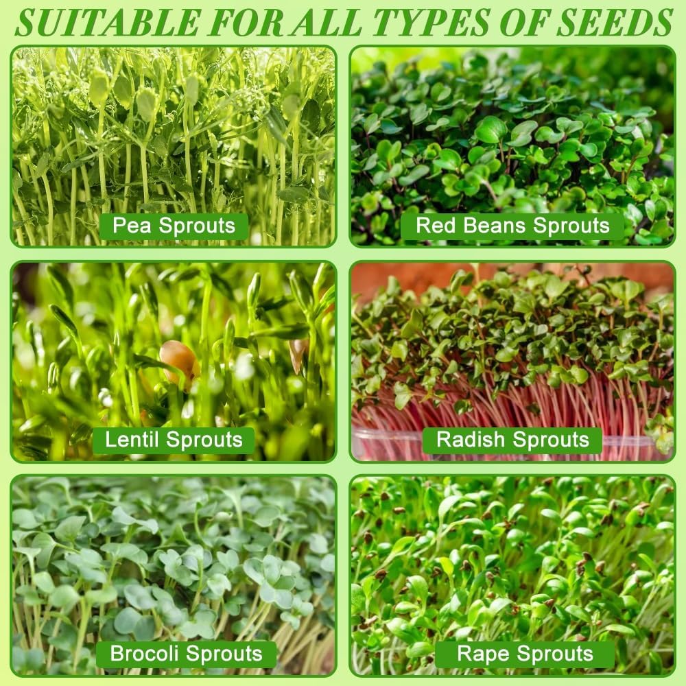 Picowe Stainless Steel Sprouting Trays Seed Sprouting Kit with Stainless Steel Mesh Tray Seed Starter Tray Seed Sprouting Kit (3pack, 10.4 x 7.7inch)