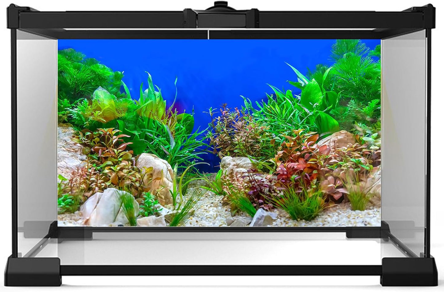 Aquarium Background Green Aquatic Plant Stone River Bed and Lake Fish Tank Background Decor Underwater Grass Leaves with Pebble Aquarium Backdrop Perfect Fish Tank Decors Vinyl 72x24in