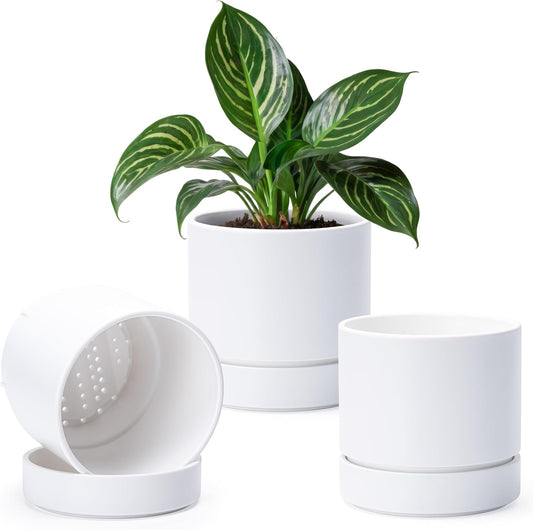 Phoenix Vine 6 Inch Planter Pot with Drainage Hole & Saucer, Deep Water Catch Tray, Straight Cylindrical Round Pot for Plants, Matte White, Pack of 3, 23-B-S-3