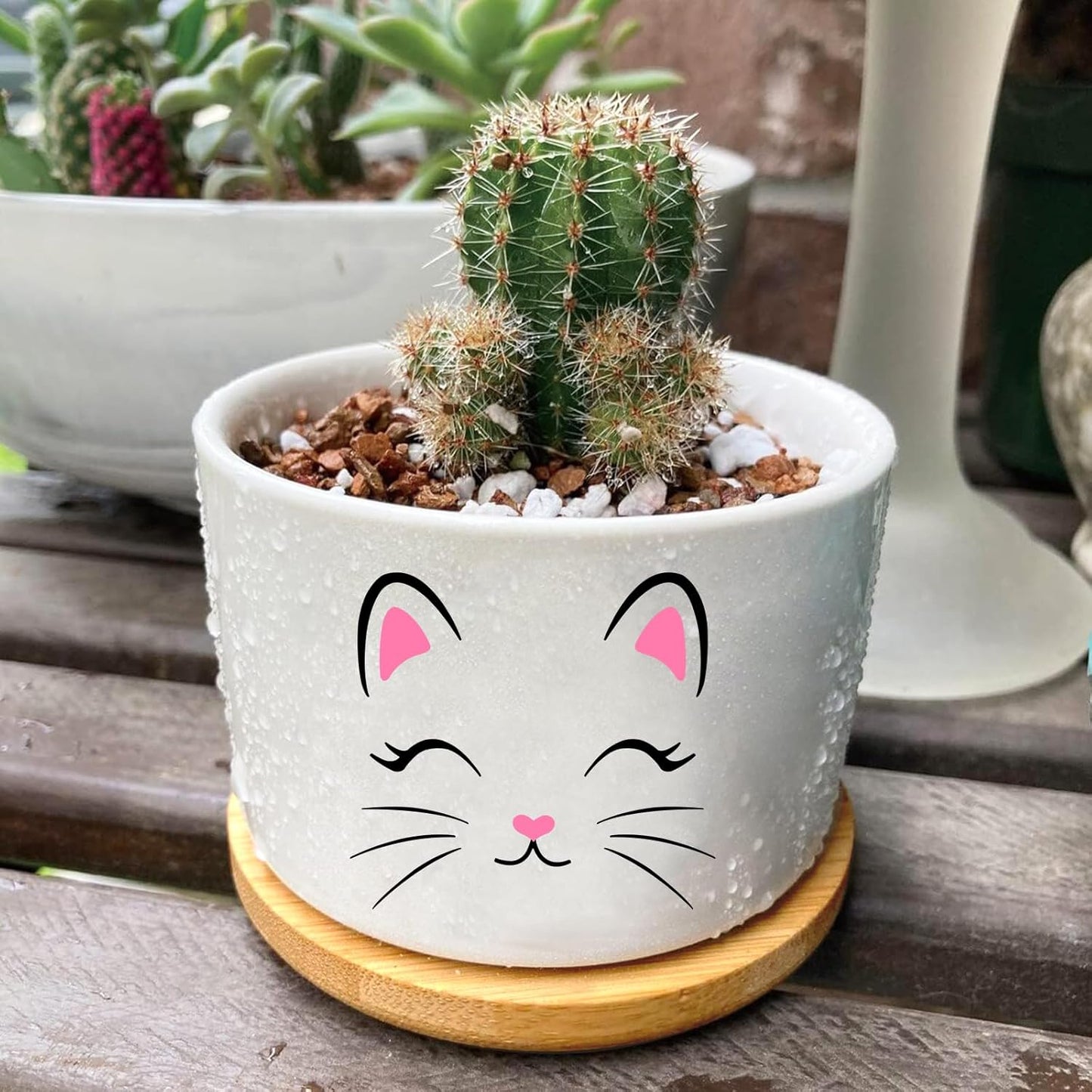 Window Garden Cat Planter Pots,Cat Loves Gifts for Women/Men/Housewarming/Wedding/Festival Birthday Gifts Planter Pots,Outdoors/Indoors,Window Decor,Garden Decor,Yard Decor,Home Decor,Office