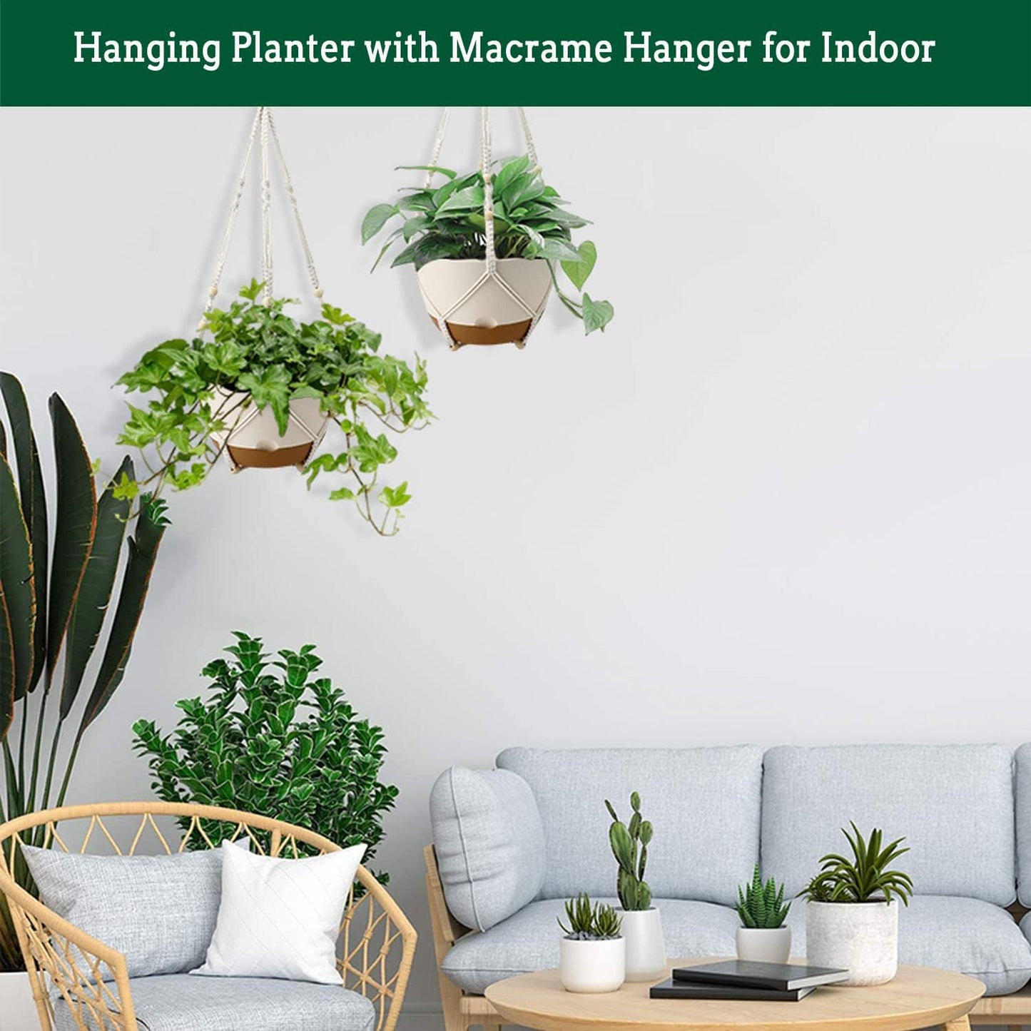 Hanging Planters for Indoor Plants, 2 Pack 10 Inch Self Watering Pots with Macrame Plant Hanger, Hanging Baskets Holder for Outdoor Garden Home Ceiling Window Decor