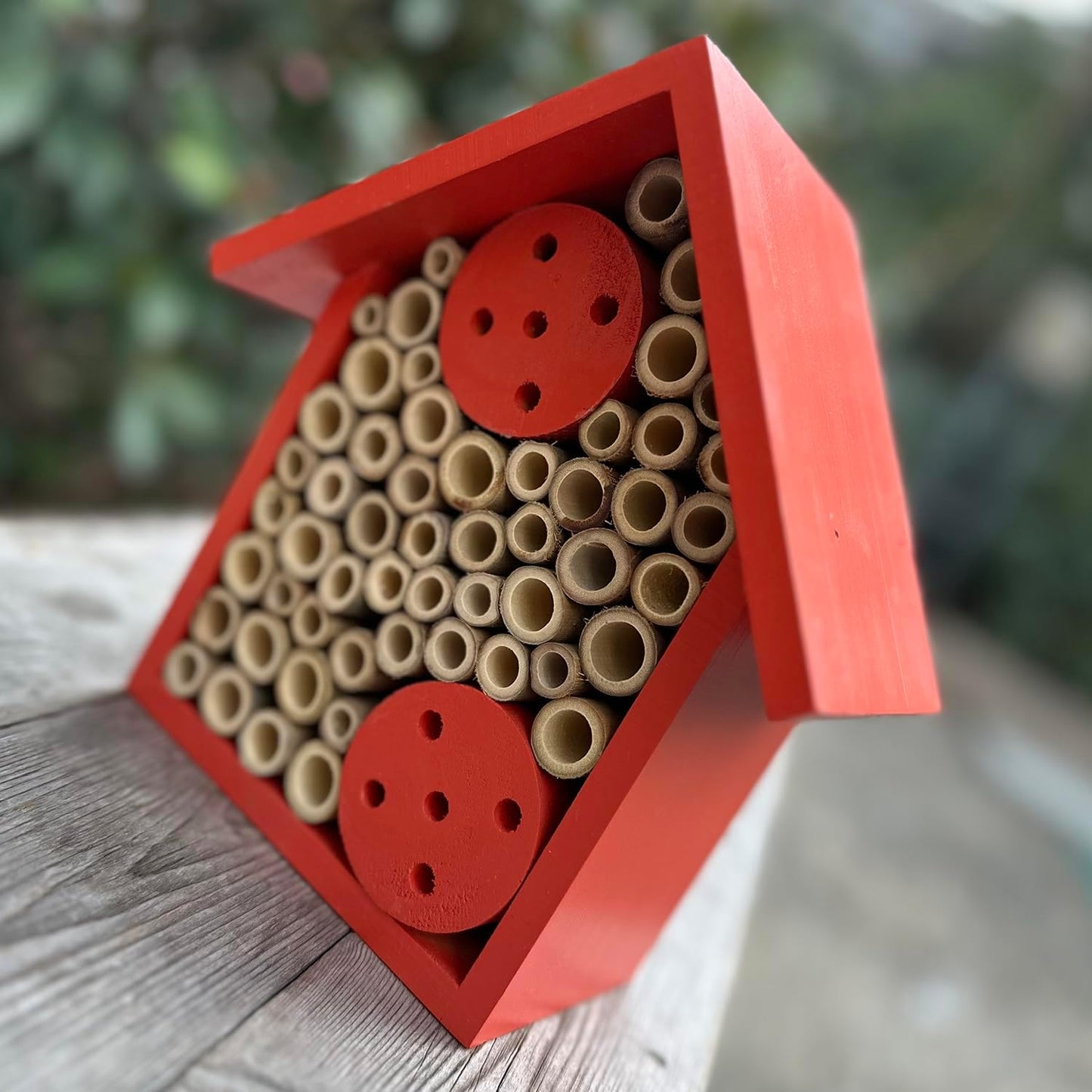 Mason Bee Houses Outdoor Wooden Bee Hotel for Garden and Yard Hand-Made Bamboo Bee Hive for Bees Butterflies and Ladybugs, Medium Size 8"x7.5"x5", Red