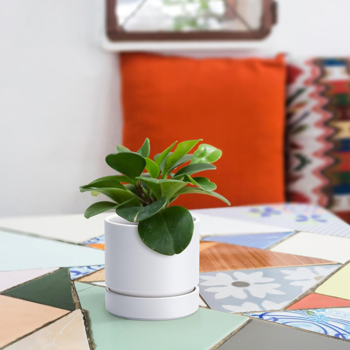 Phoenix Vine 4 Inch Planter Pot with Drainage Hole & Saucer, Deep Water Catch Tray, Straight Cylindrical Round Pot for Plants, Matte White, Pack of 4, 23-B-R-4