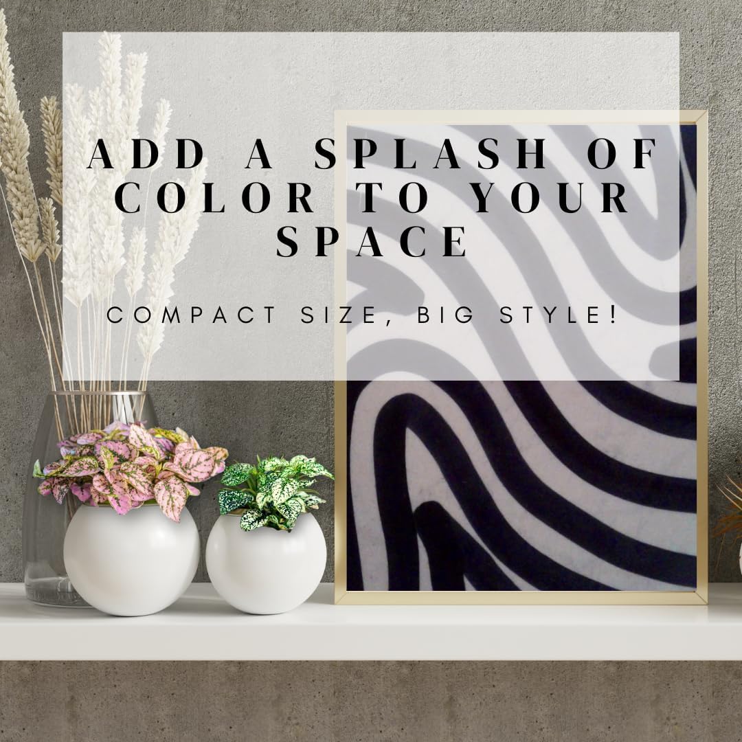 Polka Dot Plant (4-Pack) - Live Houseplants, Small Indoor Plants, Hypoestes Pink- Colorful, Air-Purifying House Plants