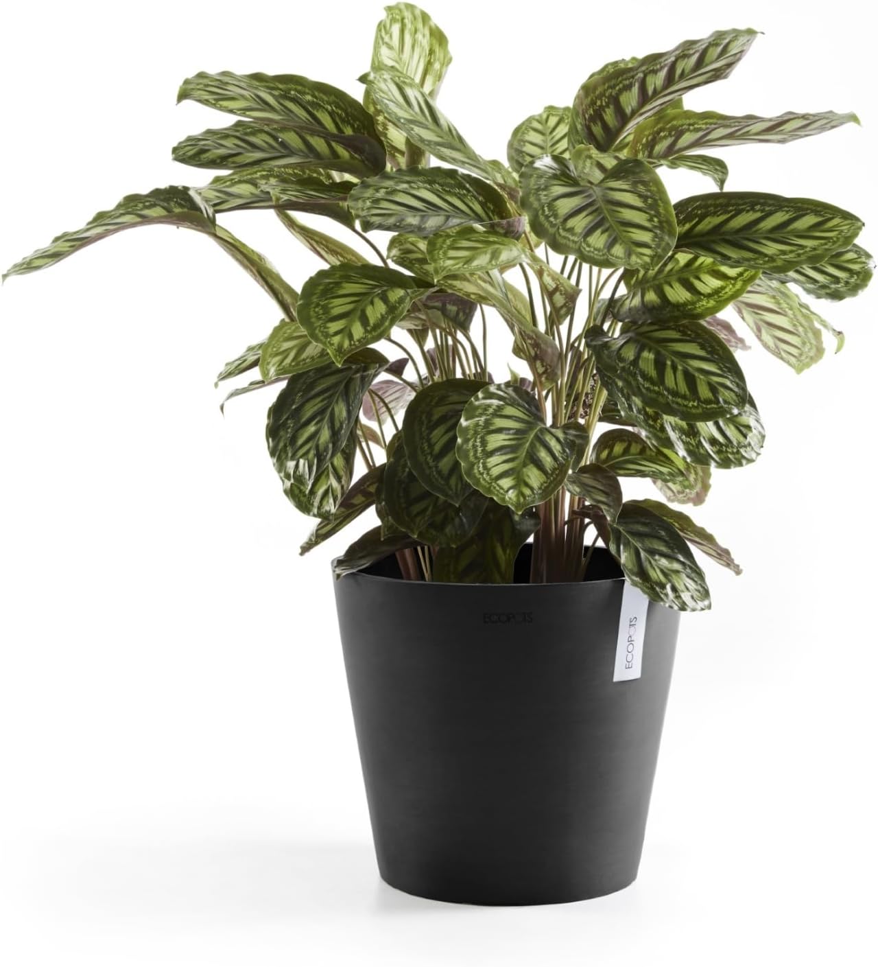 Ecopots Amsterdam Durable Modern Round Indoor/Outdoor Recycled-Based Composite Flower Pot Planter, Dark Grey, 16"