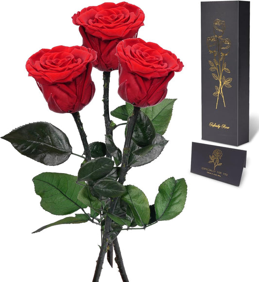 Yamonic Preserved Flowers Rose Gifts for Mom, Grandma, Women - Real Flower Rose Gifts for Mom, Her, Wife, Girlfriend on Christmas, Valentine's Day, Anniversary, Home Decor