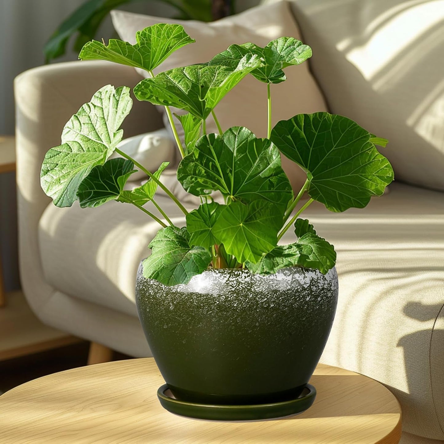 8 Inch Plant Pot - Ceramic Planter with Drainage Hole and Saucer, Modern Flower Pot for Glazed Indoor Plants Outdoor, Dark Green