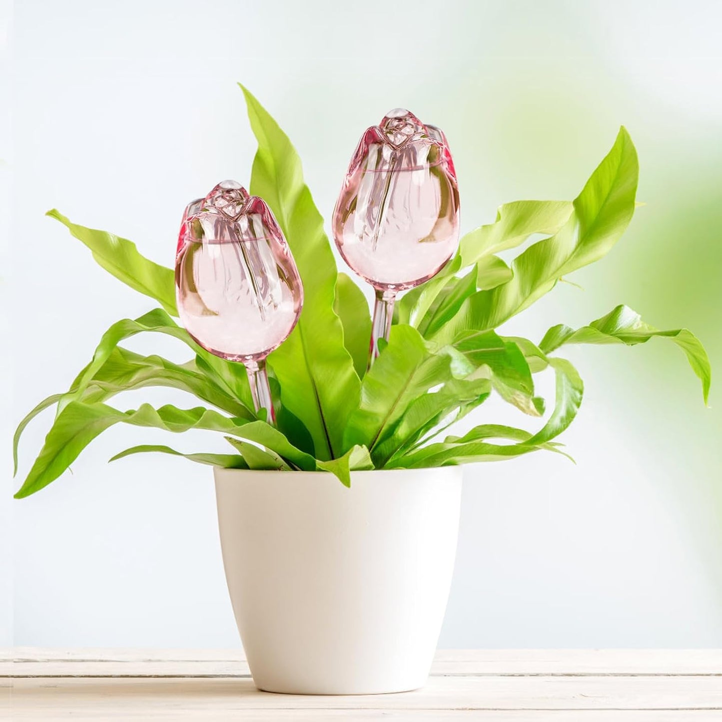 2Pcs Tulips Self Plant Watering Globes, Glass Self Watering Planter Insert, Automatic Plant Waterer Devices Indoor Outdoor (Pink)