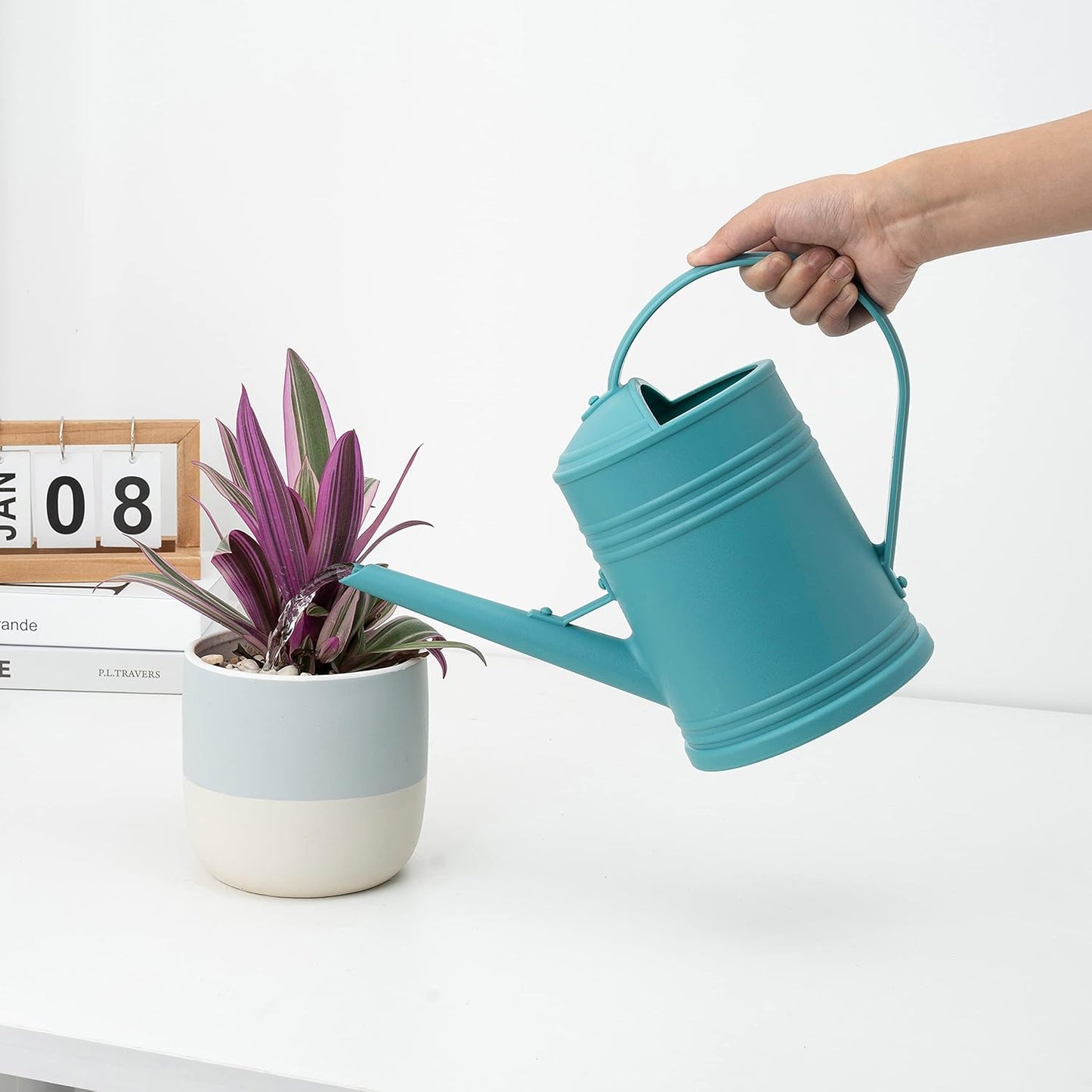 Watering Can for Indoor Plants, Flower Watering Can, Plastic Water Can for Plants, Indoor Watering Can with Sprinkler Head 68 oz, 1/2 Gallons