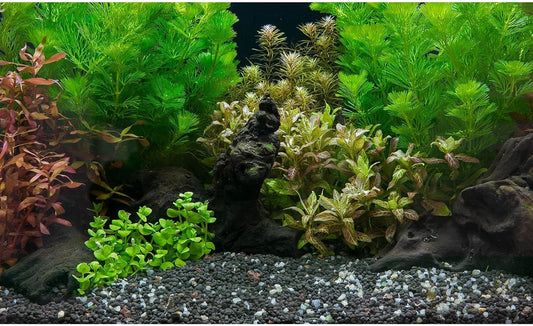 Aquarium Background Exquisite Underwater Grass Leaves with Pebbles Aquarium Backdrop Vivid Green Aquatic Plant Stone with Dead Woods and Fresh Leaves Fish Tank Wallpaper 48x18in