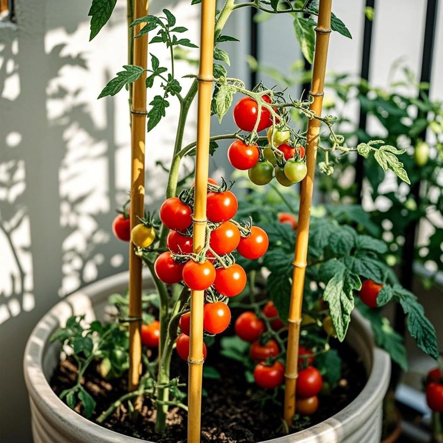 Plant Stakes, 3FT Natural Bamboo Garden Stakes, 25Pcs Bamboo Plant Stakes,Bamboo Sticks for Tomato,Beans,Vegetable and Climbing Plants