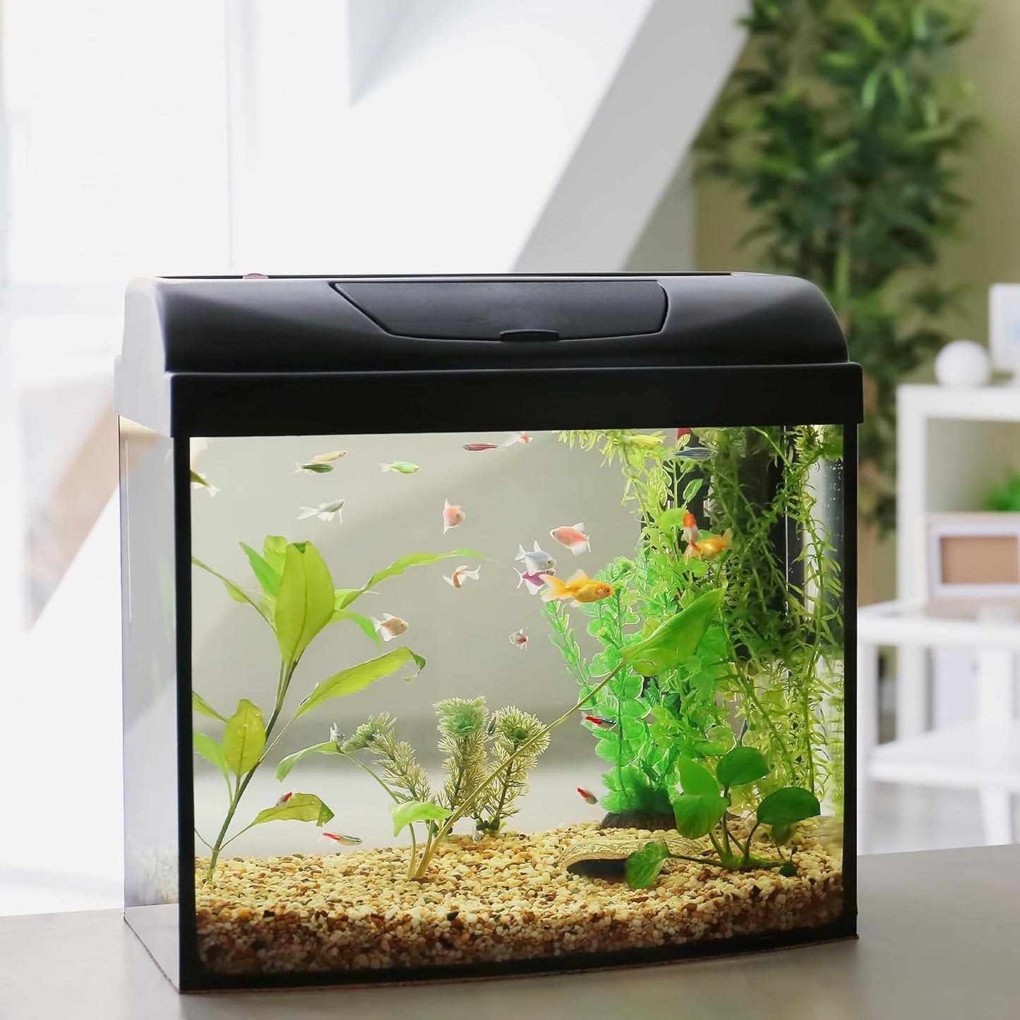 10 lbs Aquarium Gravel, 2-4mm Fish Tank Gravel, Succulent Cactus Pea Gravel for Indoor Plants, River Rocks for Gardening, Flower Pots, Vase Fillers, Garden Landscaping