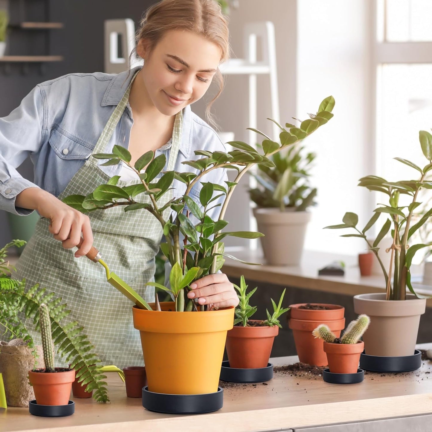 Phoenix Vine 6 Inch Plastic Plant Saucer Water Drip Tray, Heavy Sturdy Round Plant Drainage Tray for Indoors Outdoor, Matte Black, 21-TY-6B-1